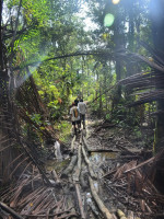/album/fotogaleria-mentawai-ostrov-ludozrutov-zajazd-vy-a-my/mentaway-siberut-zajazd-jamajkanita-111-jpg/
